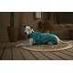 Îmbrăcăminte de Protecție „Dry Light Supreme Dog” Verde Mărimea 12 (32 – 38 kg) UV 50 plus, Antimicrobiană, Dry